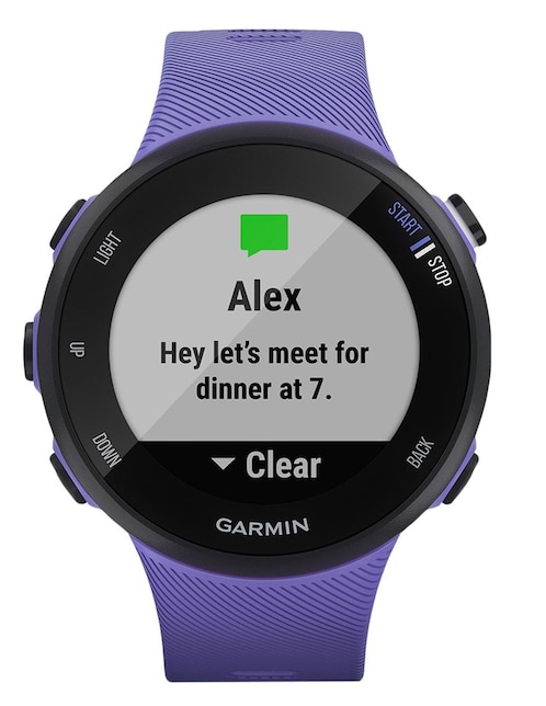 Reloj Garmin Forerunner 45S Iris