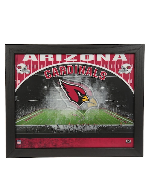 Panel conmemorativo Arizona Cardinals NFL