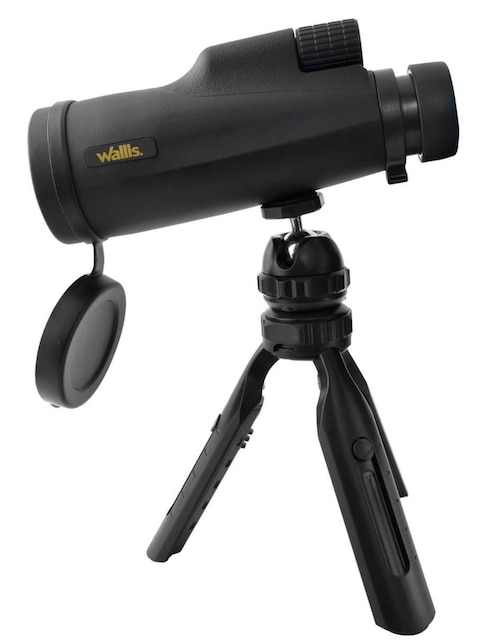 Monocular lineal Wallis