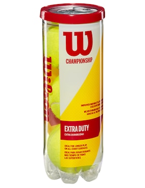 Set de pelotas Wilson Extra Duty