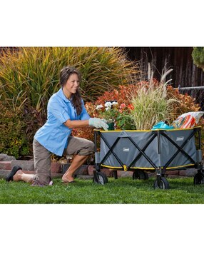 Coleman Carrito Plegable Transportador