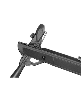 Rifle Gamo Roadster IGT 10X GEN2