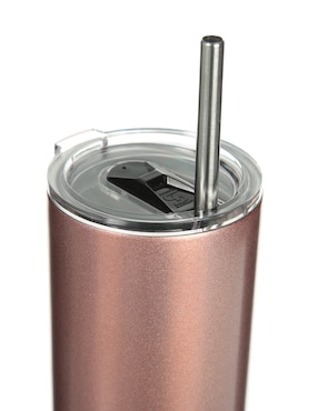 Botella de hidratación Ice Shaker de acero inoxidable