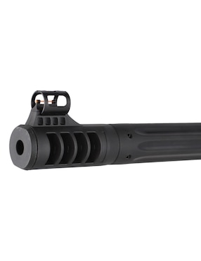 Rifle Gamo calibre 5.5