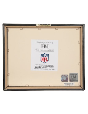 Panel conmemorativo Arizona Cardinals Nfl