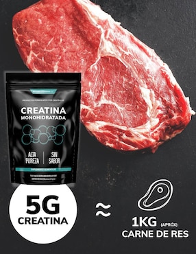 Creatina Monohidratada Micronizada Beyond Vitamins sabor natural de 450 g