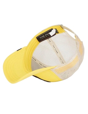 Gorra con visera curva Goorin Bros unisex