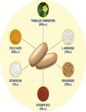 Testrol gold gat Gat con multivitamínico, vitamina d 23 y minerales sabor natural