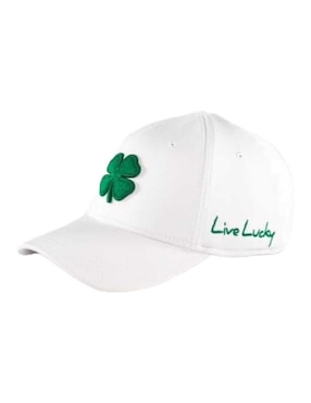 Gorra con visera curva cerrada para ninguna Black Clover para adulto