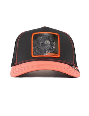 Gorra Con Visera Curva Goorin Bros Panther Unisex