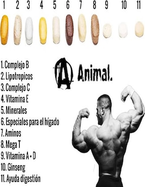 Vitaminas y minerales Animal cápsulas