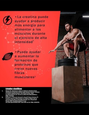 Creatina Monohidratada NSN Creatina Pura Natural Smart Nutrition de 450 g