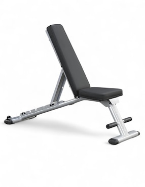 Banco Para Entrenamiento Body Solid Bs-gfid225