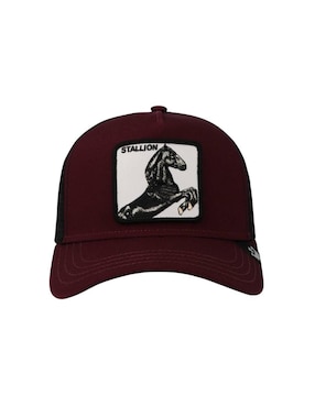 Gorra con visera curva casual Goorin Bros