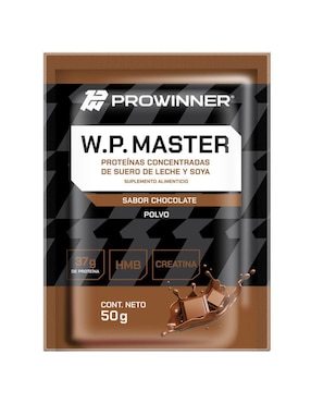 Suplemento WP Master (Whey protein) ProWinner Prowinner con colágeno sabor chocolate de 1 kg