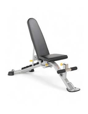 Banco Para Entrenamiento Hoist Fitness HF-5165-PL