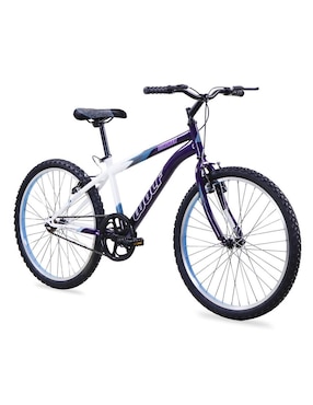 Bicicleta De Montaña Benotto Rodada 24 Wolf Unisex