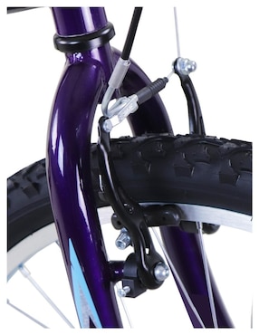 Bicicleta de montaña Benotto rodada 24 wolf unisex