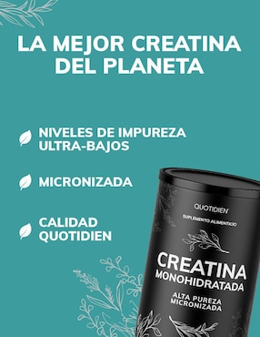 Creatina Monohidratada Micronizada Quotidien de 450 g