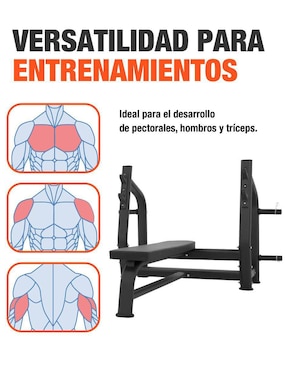 Banco para entrenamiento Altera Avalanche