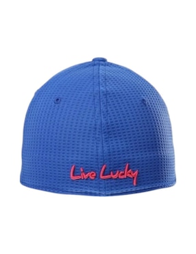 Gorra visera semicurva cerrada casual Black Clover Memory Fit unisex