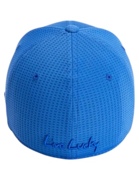 Gorra visera semicurva cerrada casual Black Clover Memory Fit unisex