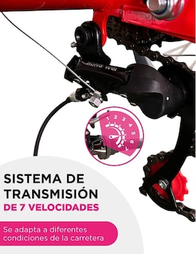 Tricicleta Vanlig rodada 24