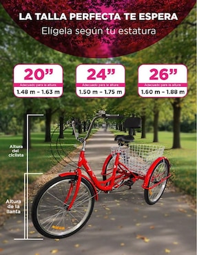 Tricicleta Vanlig rodada 24