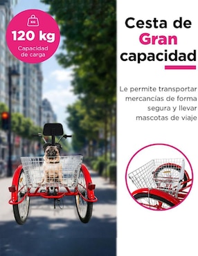 Tricicleta Vanlig rodada 24