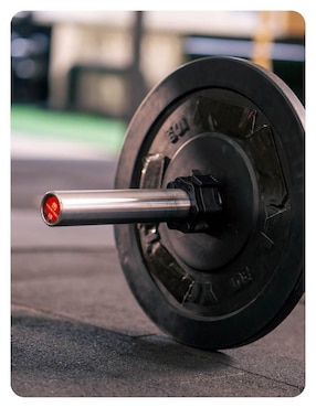 Set de protectores Bodytrainer de crossfit adulto