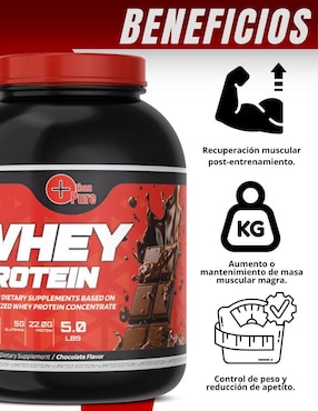 Kit de suplementos alimenticios Whey Protein + Creatina Monohidratada Fit Nutrition