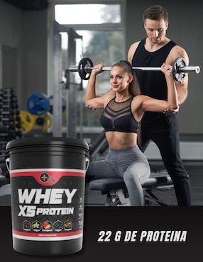 Whey X5 Fit Nutrition con proteína de suero de leche sabor natural de 5 kg