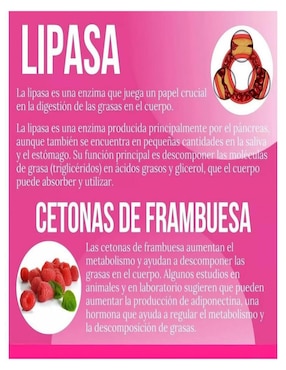 Lipoenzimas Natura con multivitaminico de 90 cápsulas