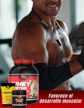 Kit de suplementos alimenticios Whey Protein + Glutamina + Creatina Monohidratada More Than Pure