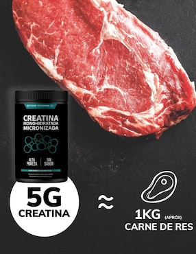 Creatina Monohidratada Micronizada Beyond Vitamins de 300 g