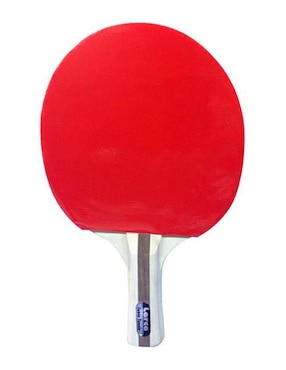 Raqueta de ping pong Larca adulto