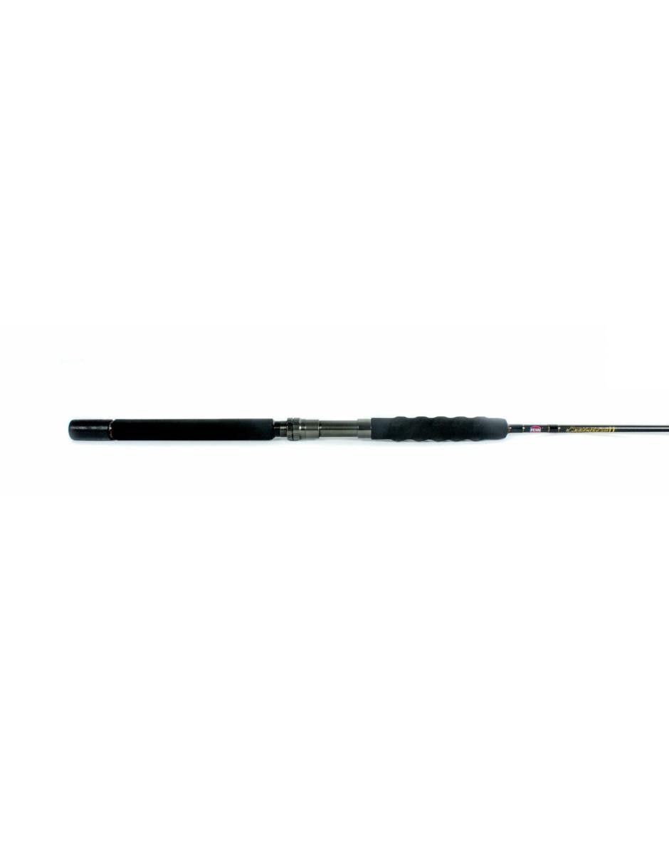 Caña CARBWII50100S70 pesca 1