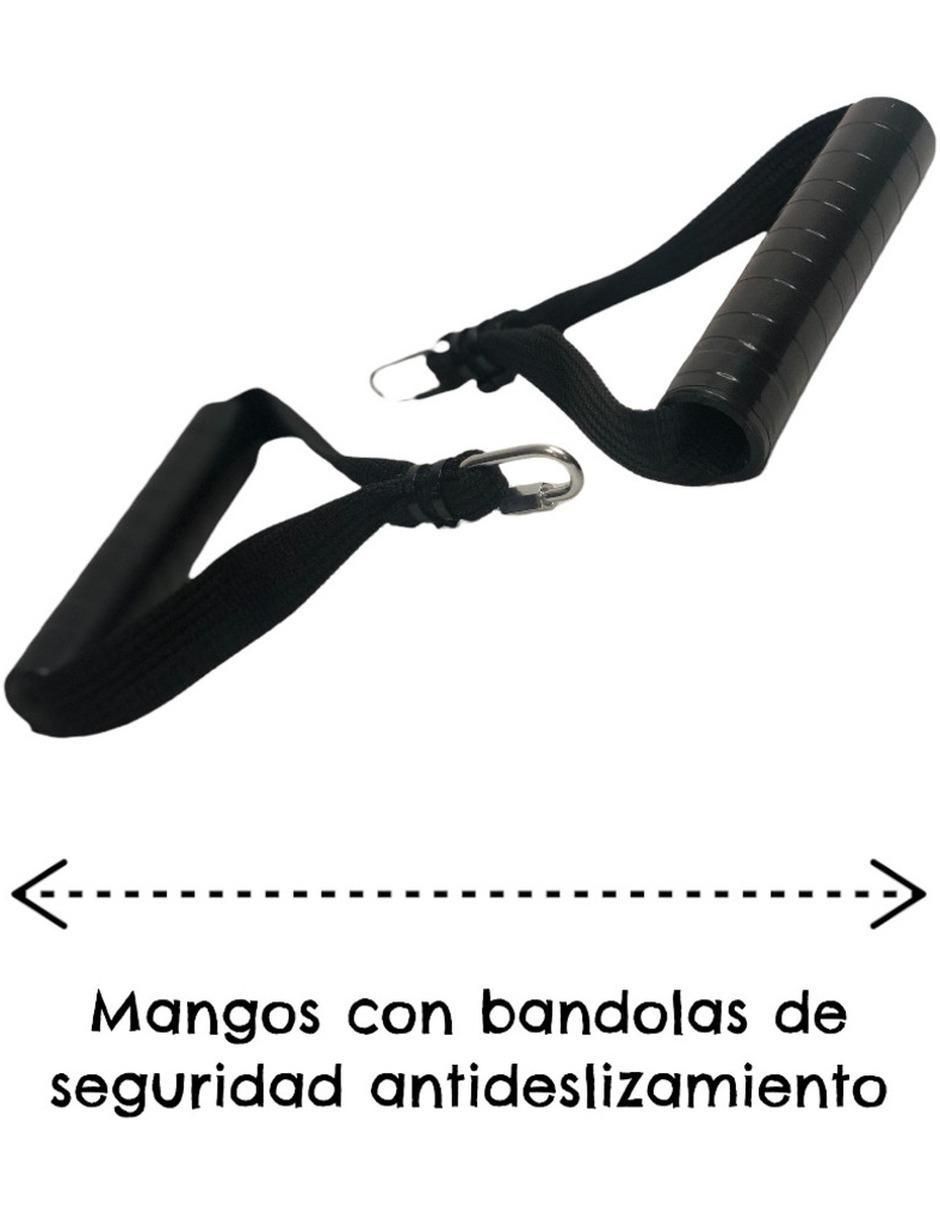 Set de ligas resistencia Pro 7