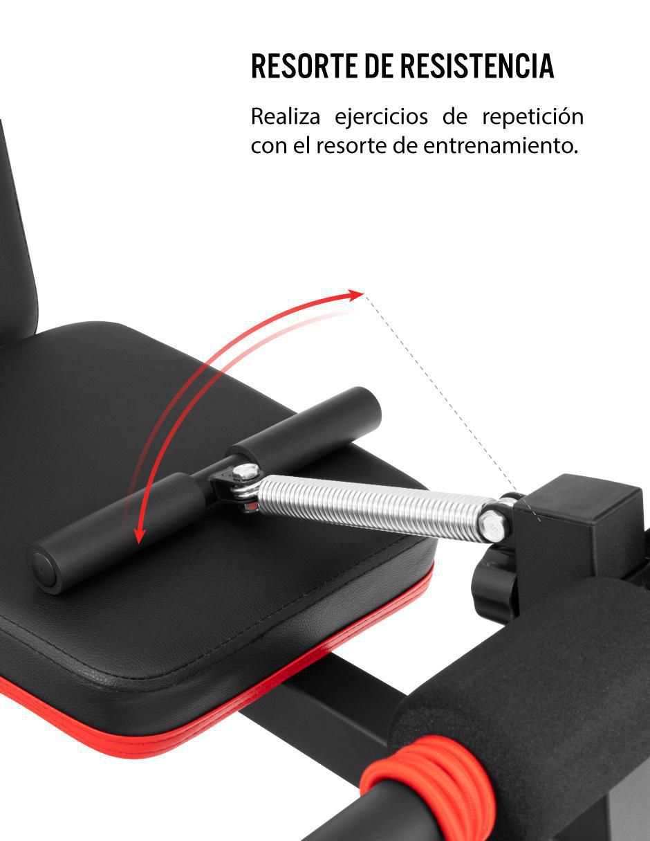 Banco para entrenamiento BM-004 5