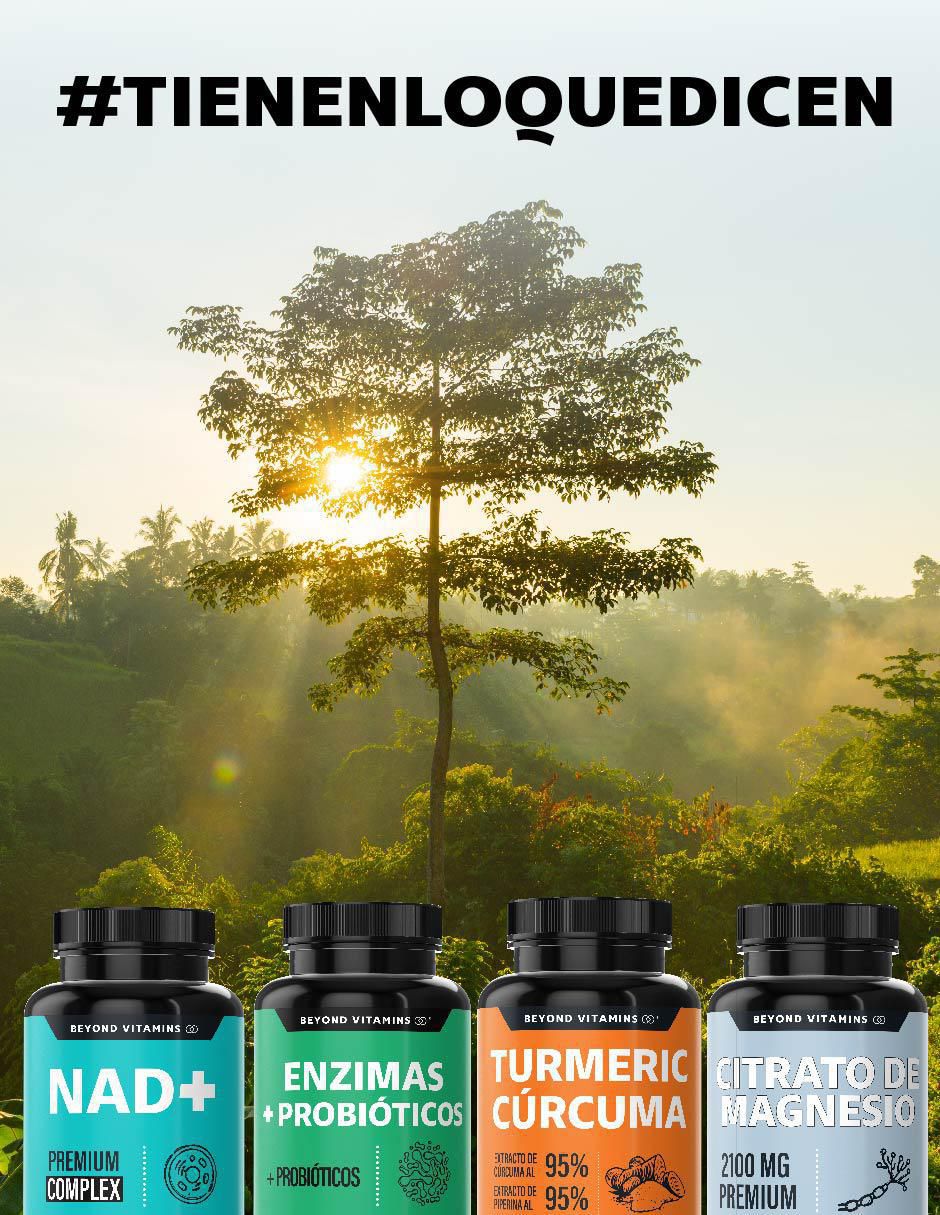 Day Complex Nootrópico con Omega 3 Carnitina Teanina y Vitamina C sabor natural de 60 cápsulas 5