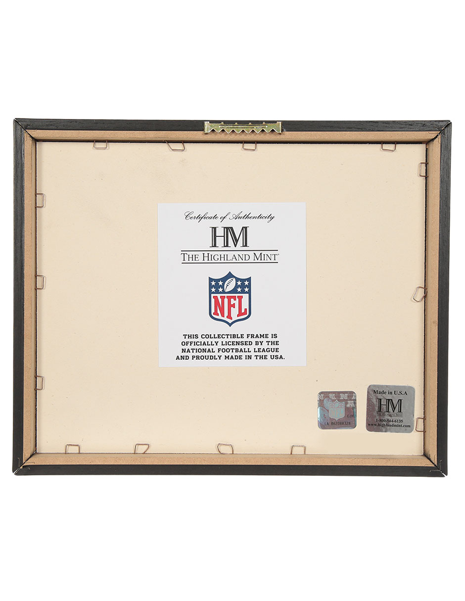 Panel conmemorativo San Francisco 49ers 3