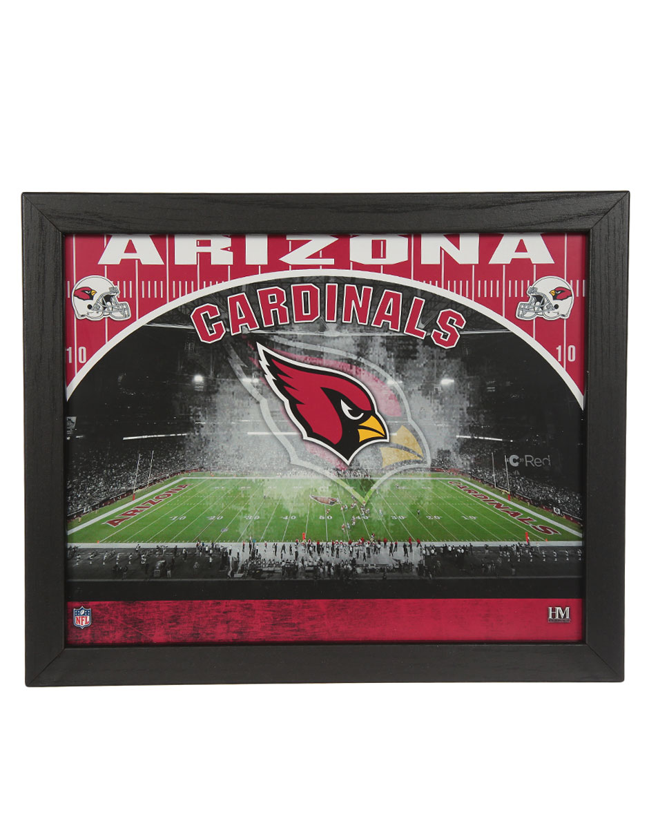 Panel conmemorativo Arizona Cardinals