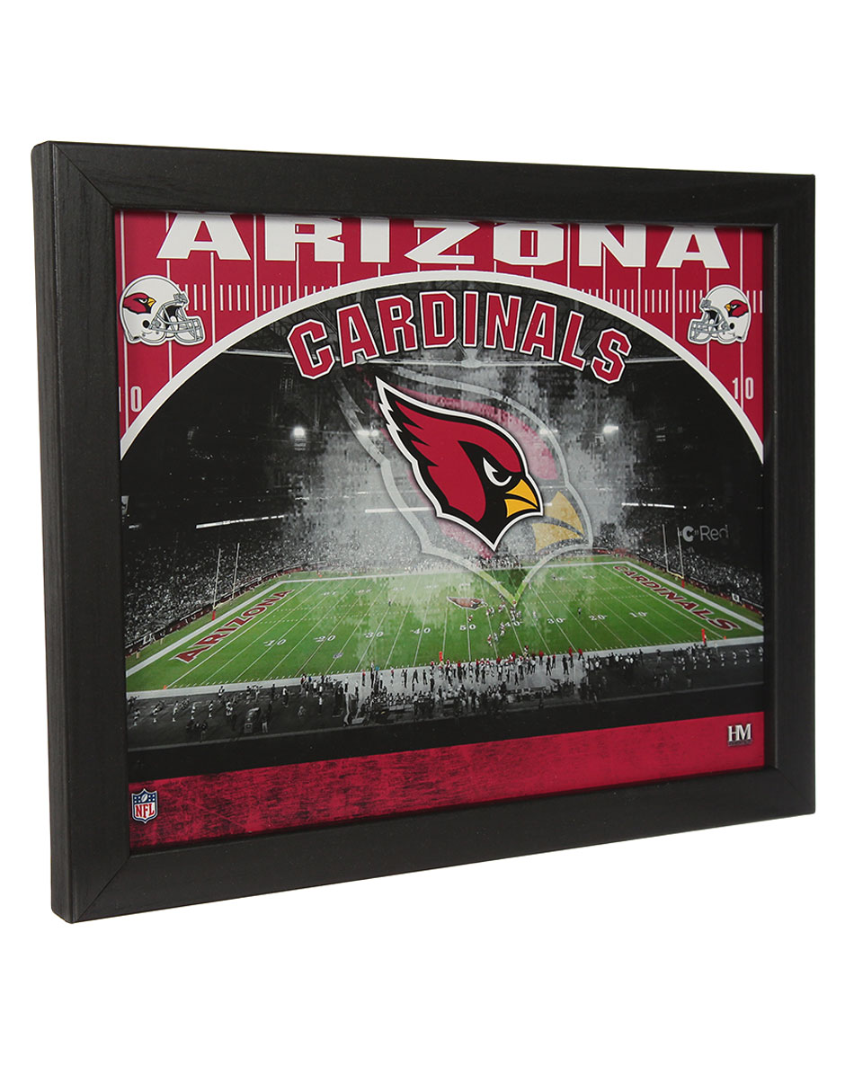 Panel conmemorativo Arizona Cardinals 2