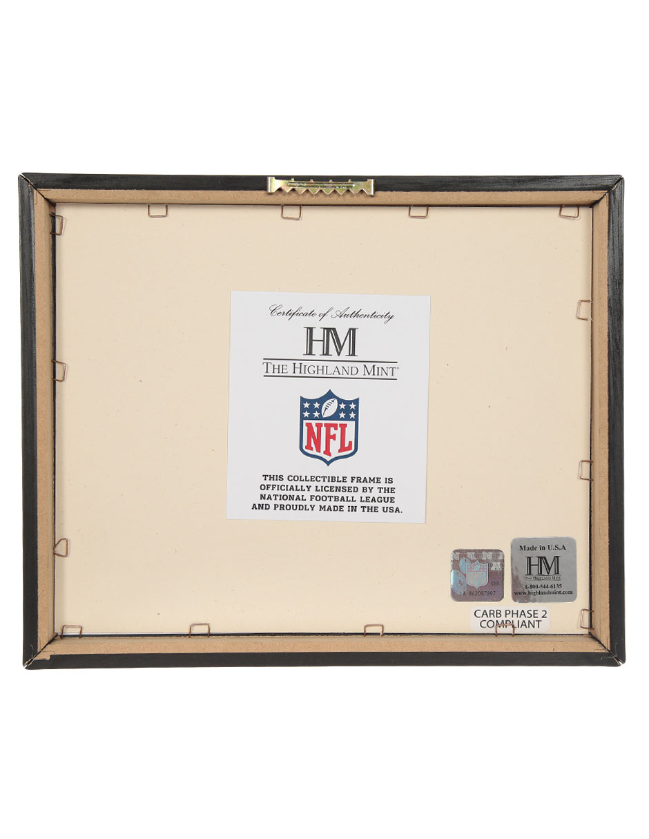 Panel conmemorativo Arizona Cardinals 3