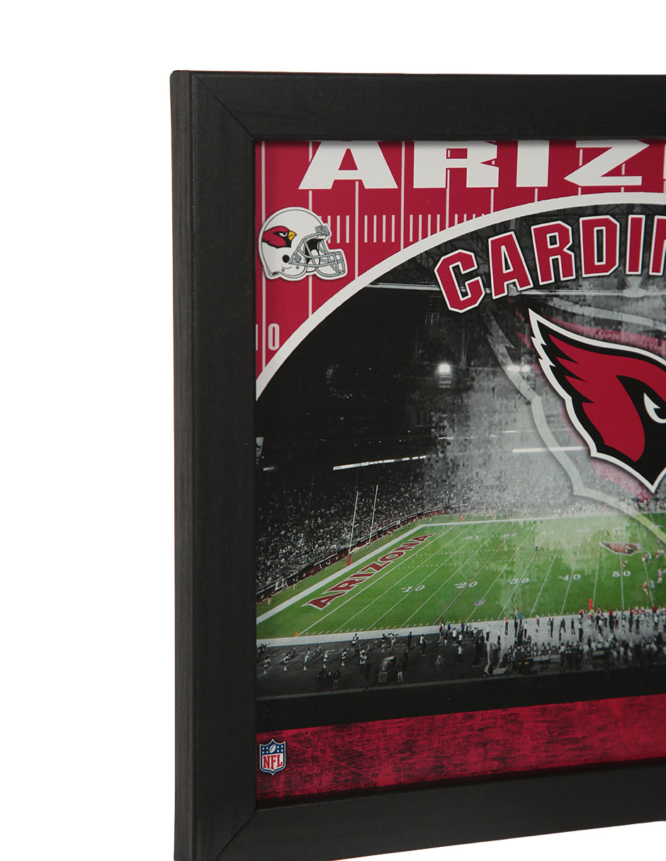 Panel conmemorativo Arizona Cardinals 4