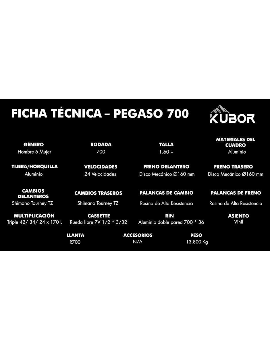 Bicicleta de ruta rodada 700 Pegaso unisex 7