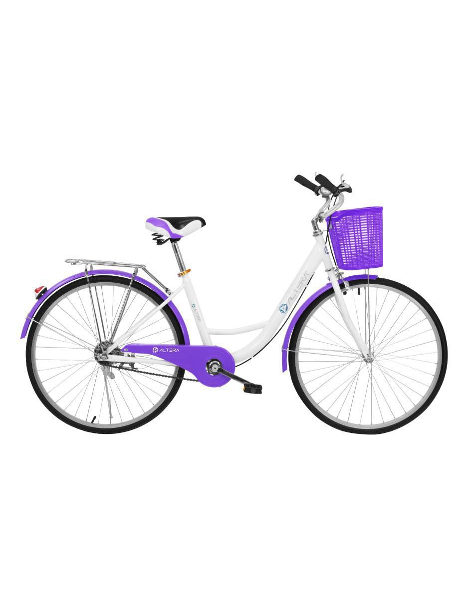 Altera rbike-002