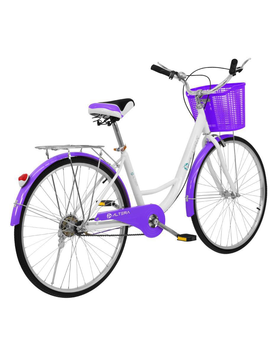 Altera rbike-002