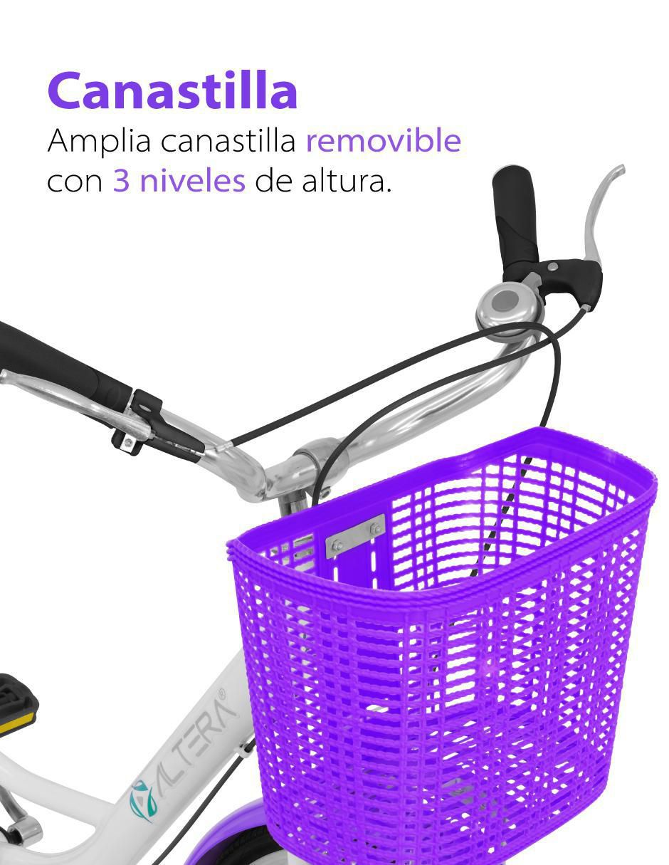 Altera rbike-002