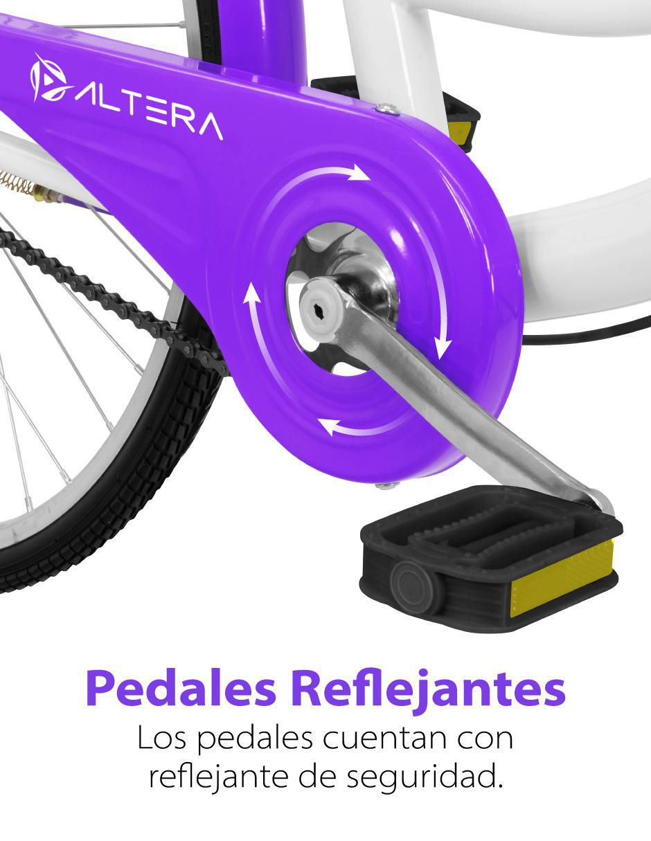Altera rbike-002